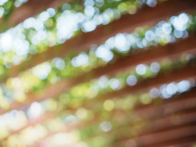 Sony Alpha A7C2 + SMC Takumar 50mm f1.4 196x​