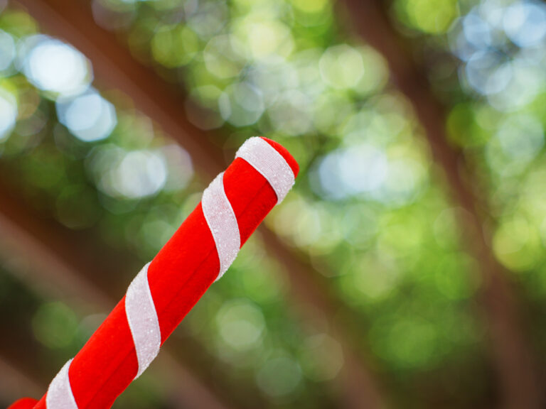 Sony Alpha A7C2 + SMC Takumar 50mm f1.4 196x​