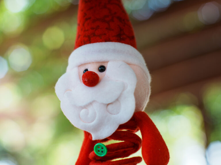 Sony Alpha A7C2 + SMC Takumar 50mm f1.4 196x​