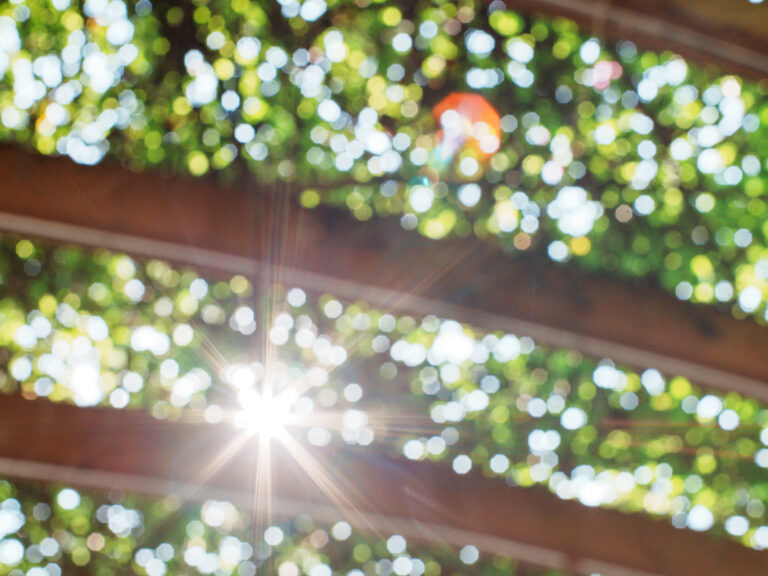 Sony Alpha A7C2 + SMC Takumar 50mm f1.4 196x​