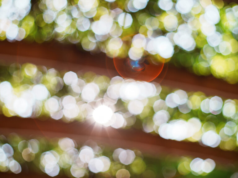 Sony Alpha A7C2 + SMC Takumar 50mm f1.4 196x​