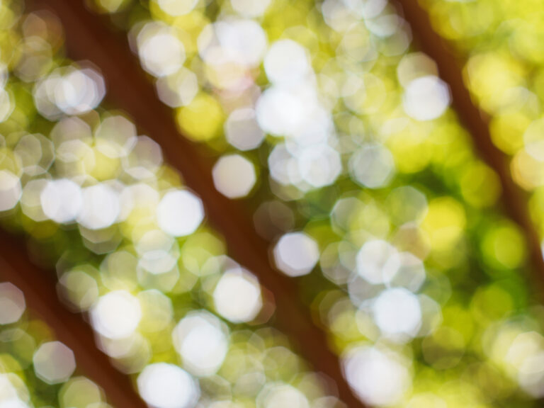 Sony Alpha A7C2 + SMC Takumar 50mm f1.4 196x​