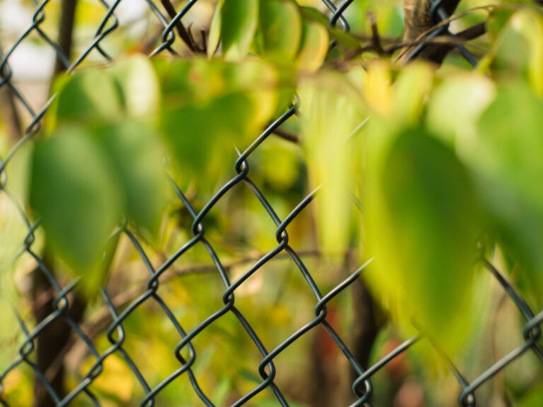 Sony Alpha A7C2 + SMC Takumar 50mm f1.4 196x​