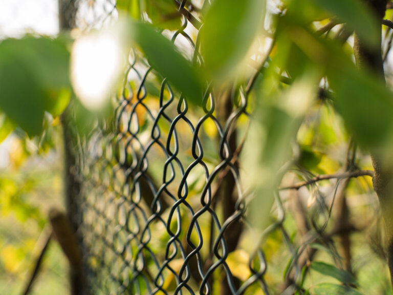 Sony Alpha A7C2 + SMC Takumar 50mm f1.4 196x​