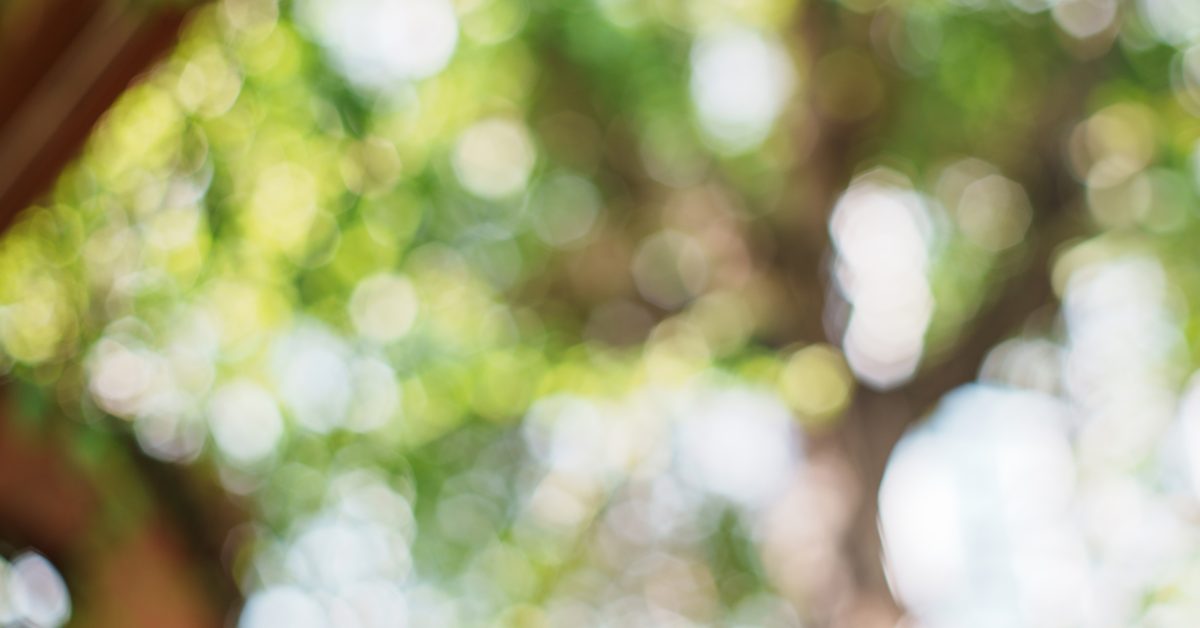 Sony Alpha A7C2 + SMC Takumar 50mm f1.4 196x​